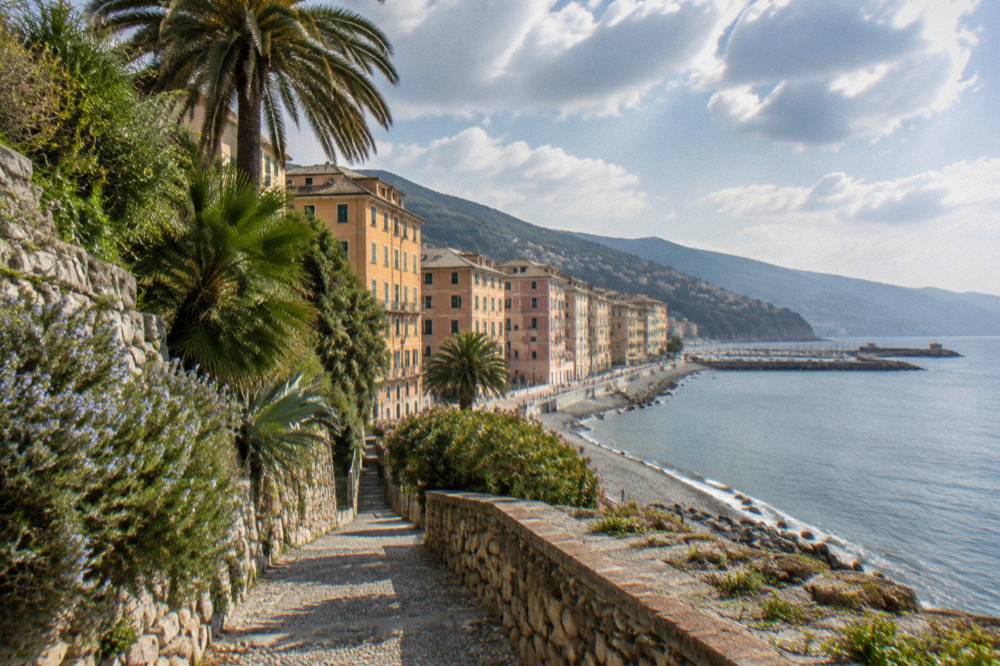 A garden path through Mediterranean vegetation with palms and stone walls