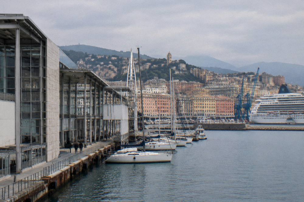 A cruise ship and harbour cranes seen across the water from a city rooftop