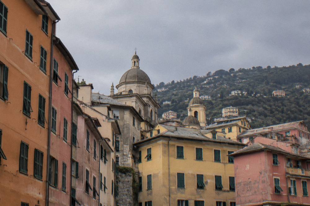 Wooded hillside above Genoa sloping down to the sea and distant coastal towns