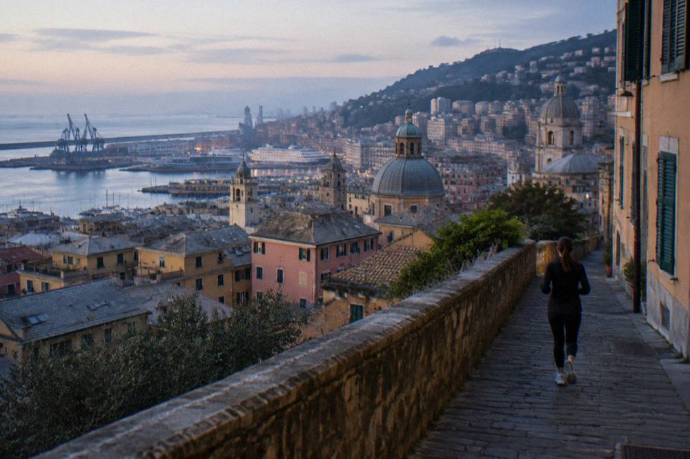 View from a hillside terrace over the rooftops and harbour of Genoa