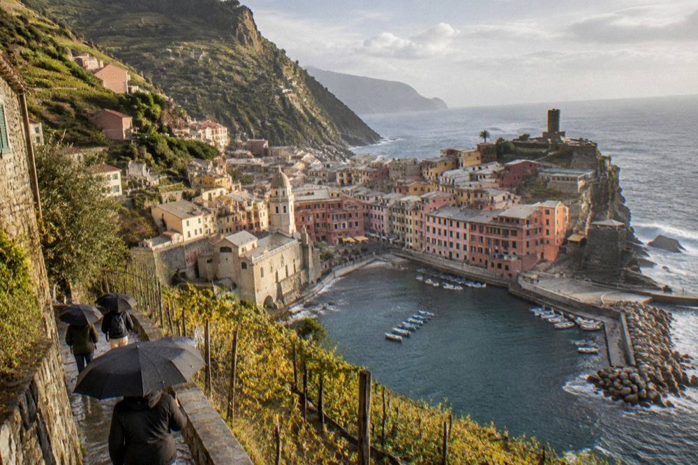 Terraced vineyard slopes falling steeply to the sea near a coastal village