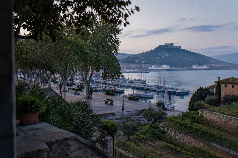 Terraced vineyards and stone walls descending a steep hillside towards the sea