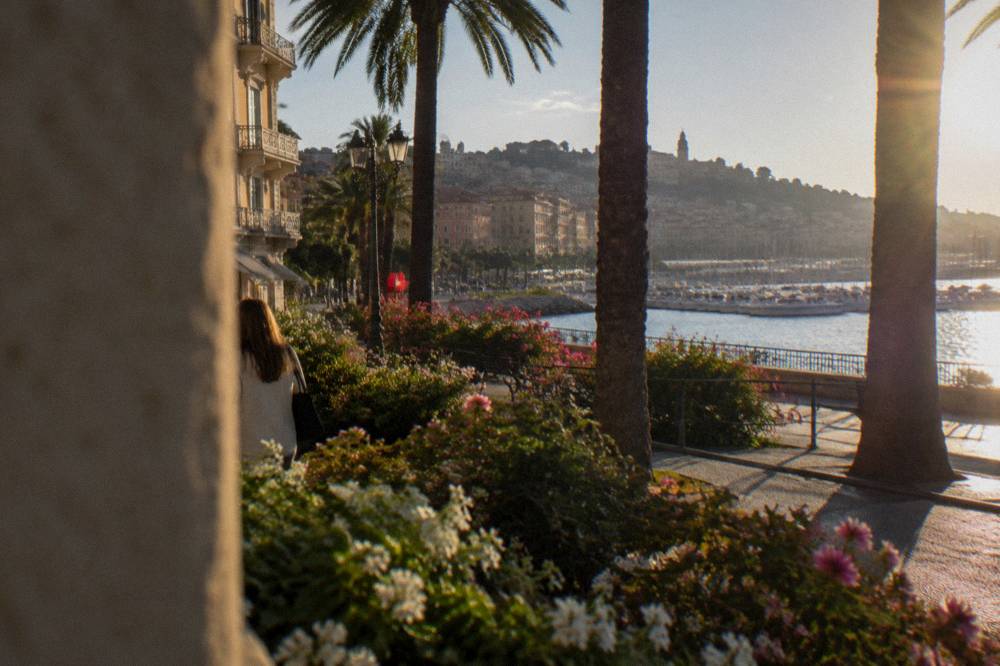 Flower beds and palm trees along a sunny seaside promenade