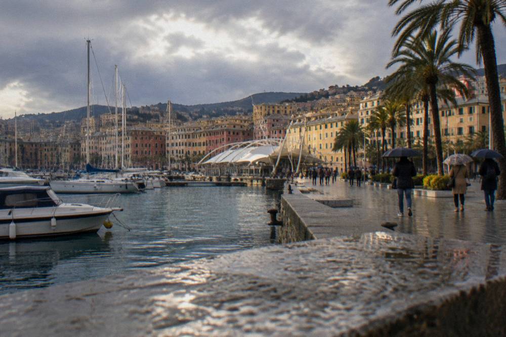 A seaside promenade under an overcast autumn sky with palm trees