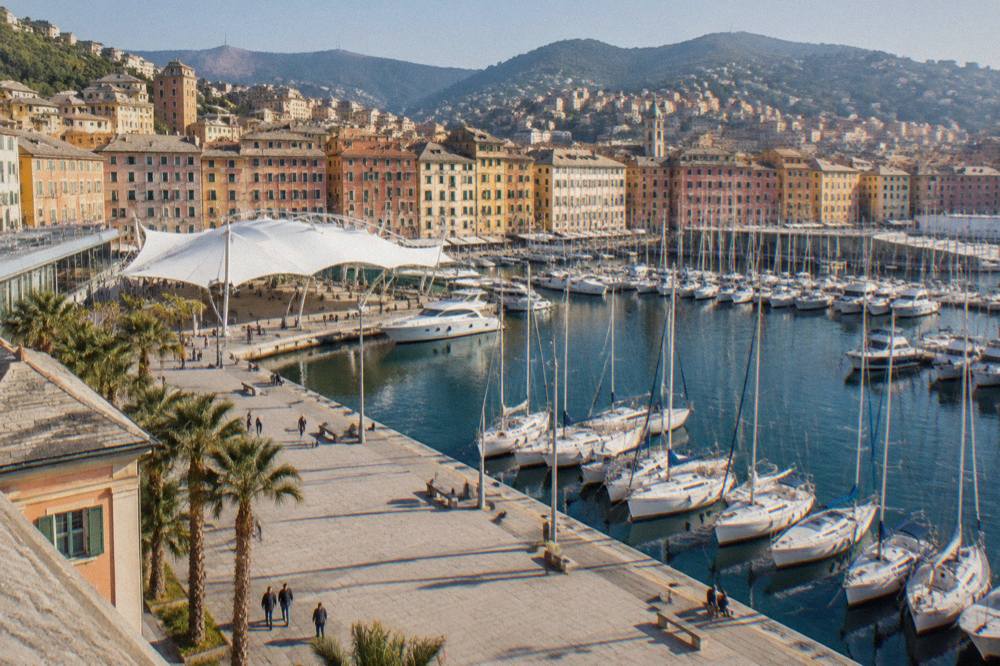 Sailboats moored in rows at a marina during a boat show