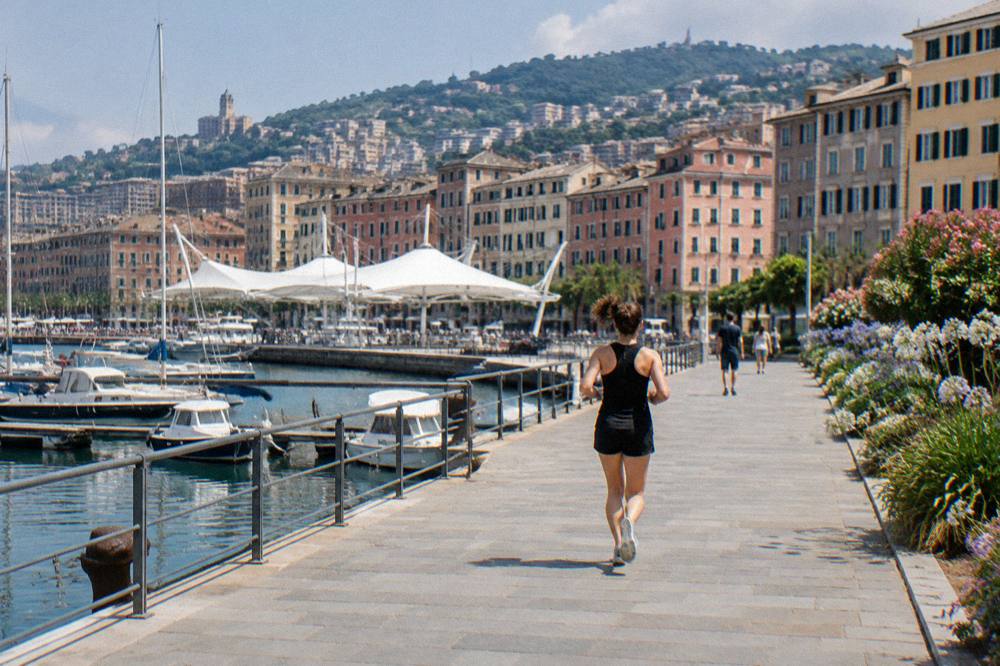 Flower beds and blooming gardens along a seaside promenade