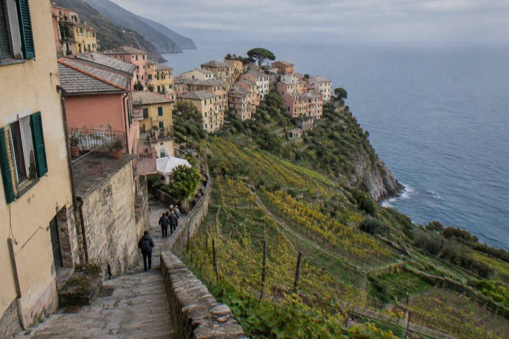 Terraced vineyards on a steep hillside above the Ligurian Sea